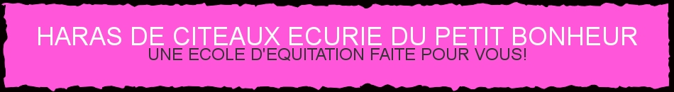 HARAS DE CITEAUX ECURIE DU PETIT BONHEUR